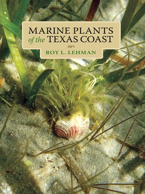 cover image of Marine Plants of the Texas Coast